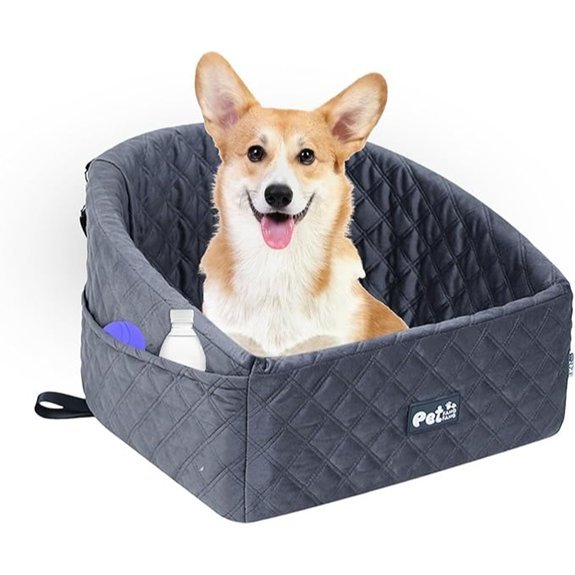 Small Dog Car Seat with Adjustable Strap