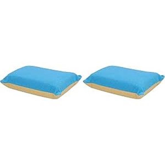 NIGRIN Anti-fog Sponge for Car Interior Windows (Pack of 2)