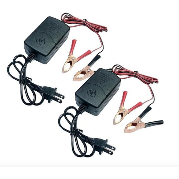 Generic 2PC 12V Car Battery Charger & Maintainer