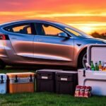 chill solutions for tesla