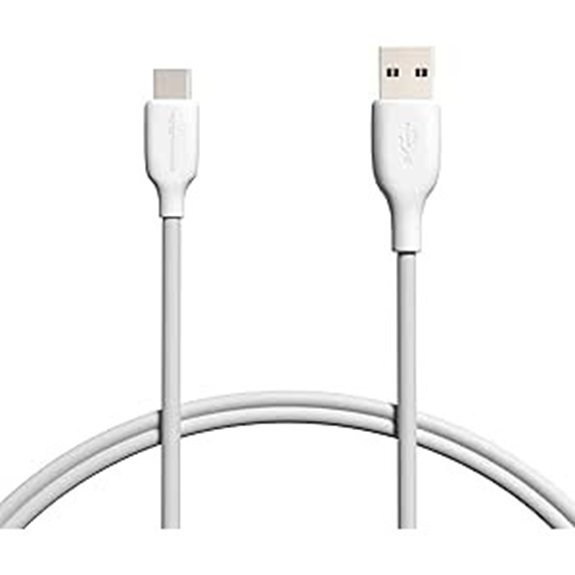 Amazon Basics USB-C to USB-A Fast Charge Cable