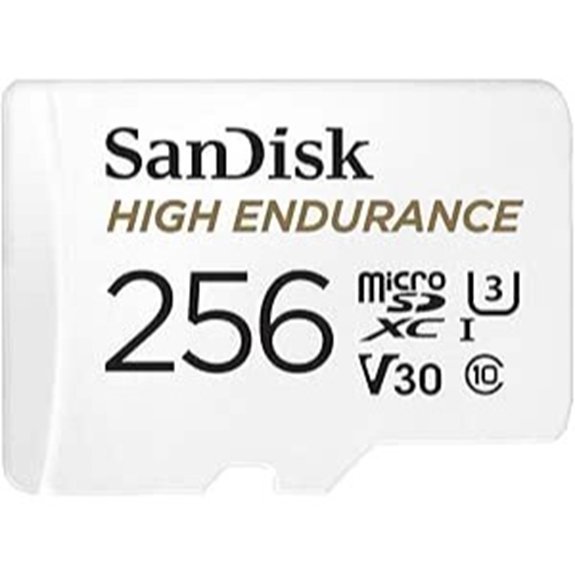 SanDisk 256GB High Endurance microSDXC Card
