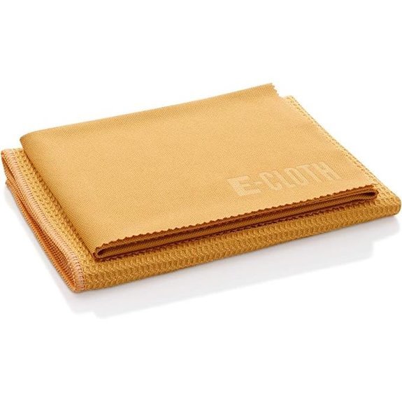 E-Cloth Microfibre Window Cleaner Kit