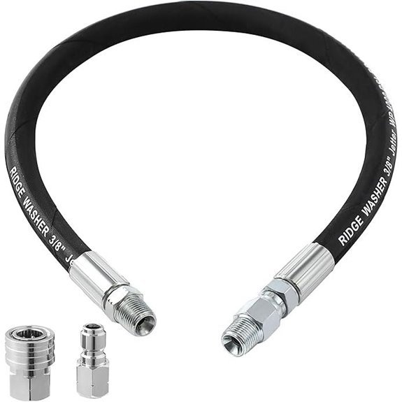Ridge Washer Pressure Washer Whip Hose (2 FT)