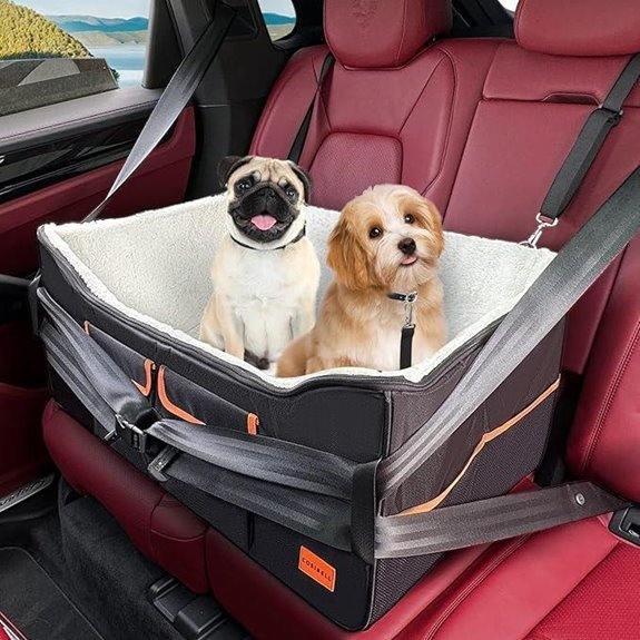 Dog Car Seat for Small/Medium Dogs with Safety Leash