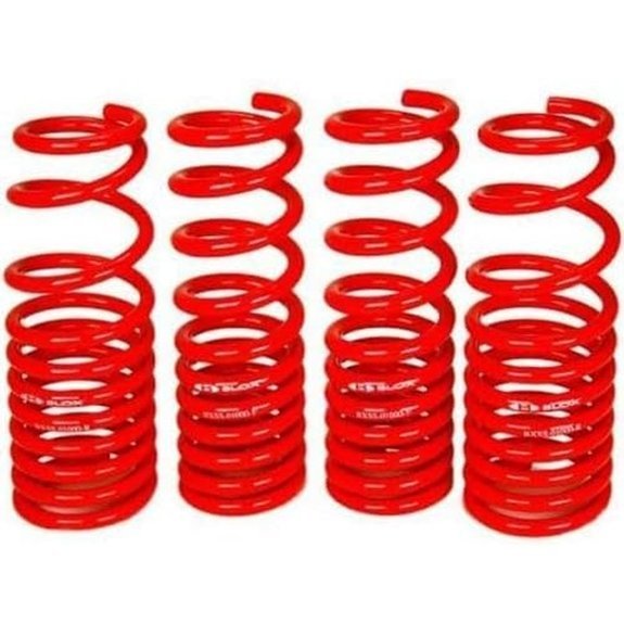 Blox - Lowering Springs Telsa Model 3 - Long Range RWD (BXSS-61000)