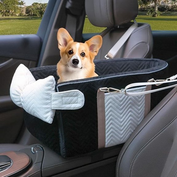 Small Dog Car Seat with Washable Cushion
